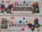 Butterfly (10 Pcs)